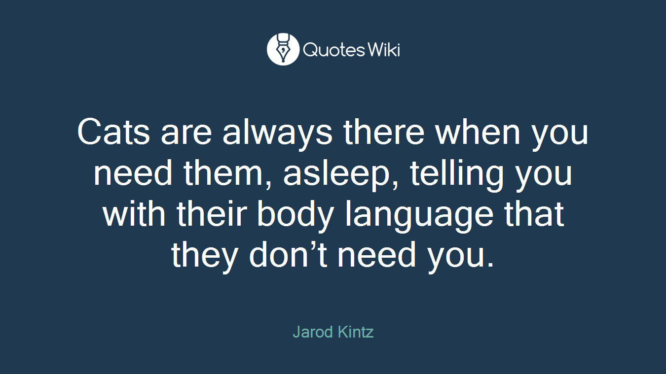 Cats are always there when you need them, asleep, telling you with their body language that they don’t need you.
