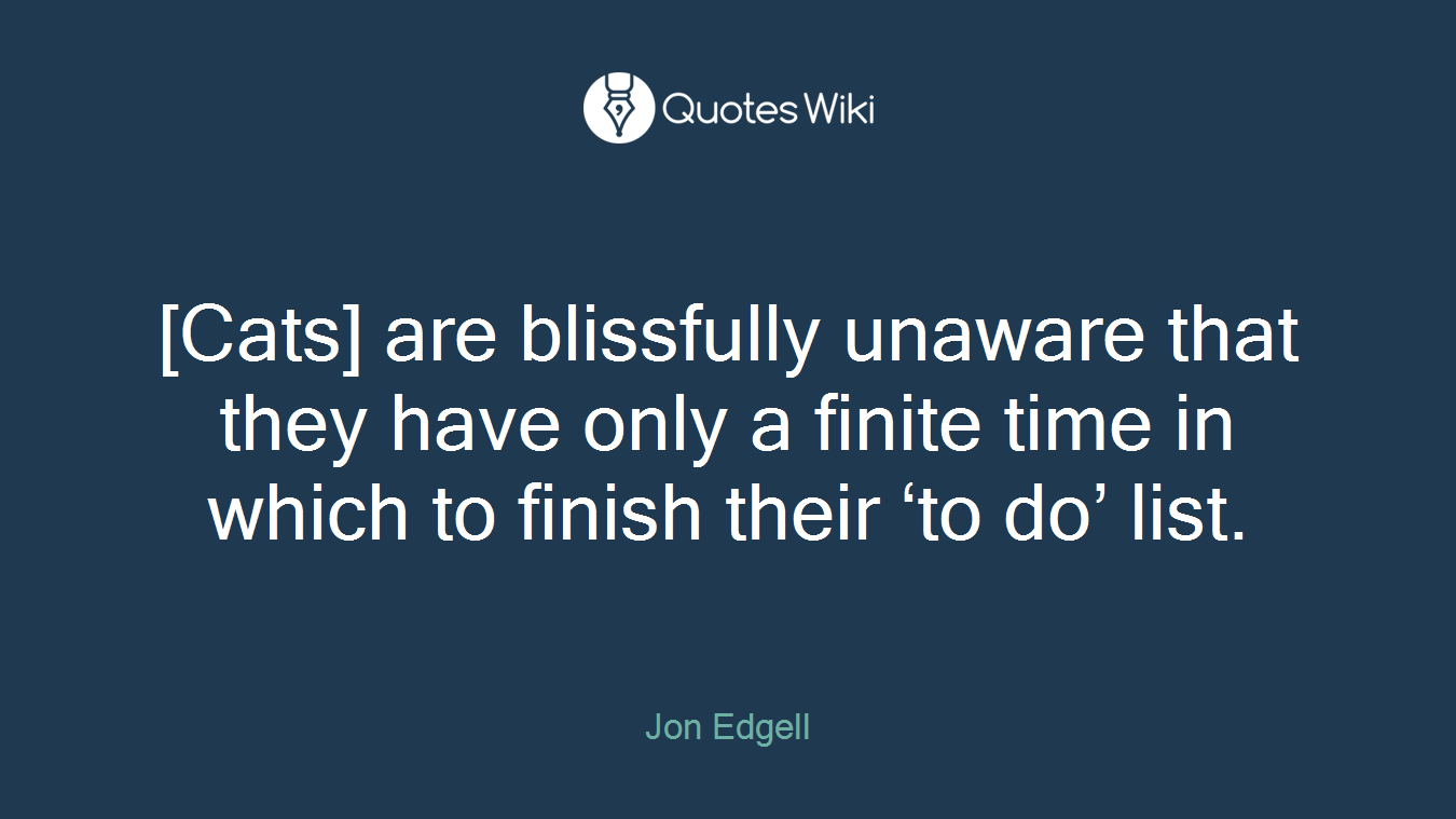 [Cats] are blissfully unaware that they have only a finite time in which to finish their ‘to do’ list.
