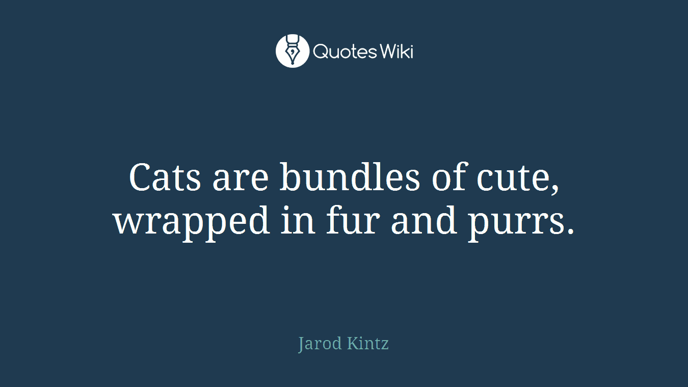 Cats are bundles of cute, wrapped in fur and purrs.