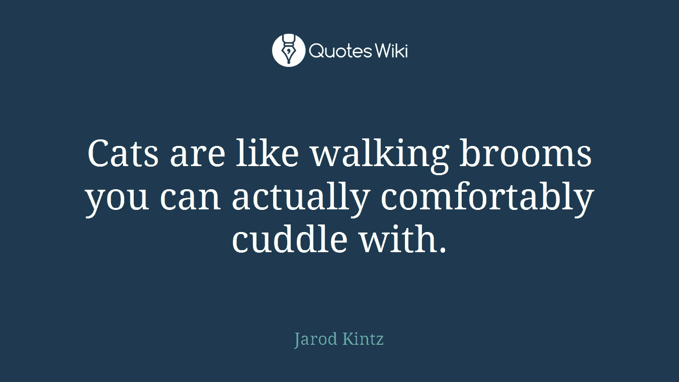 Cats are like walking brooms you can actually comfortably cuddle with.