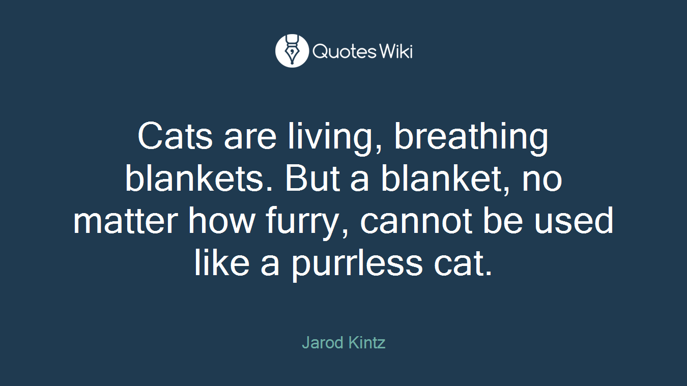 Cats are living, breathing blankets. But a blanket, no matter how furry, cannot be used like a purrless cat.