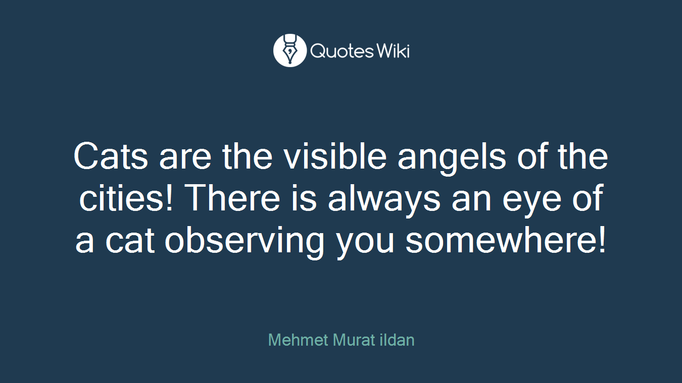 Cats are the visible angels of the cities! There is always an eye of a cat observing you somewhere!