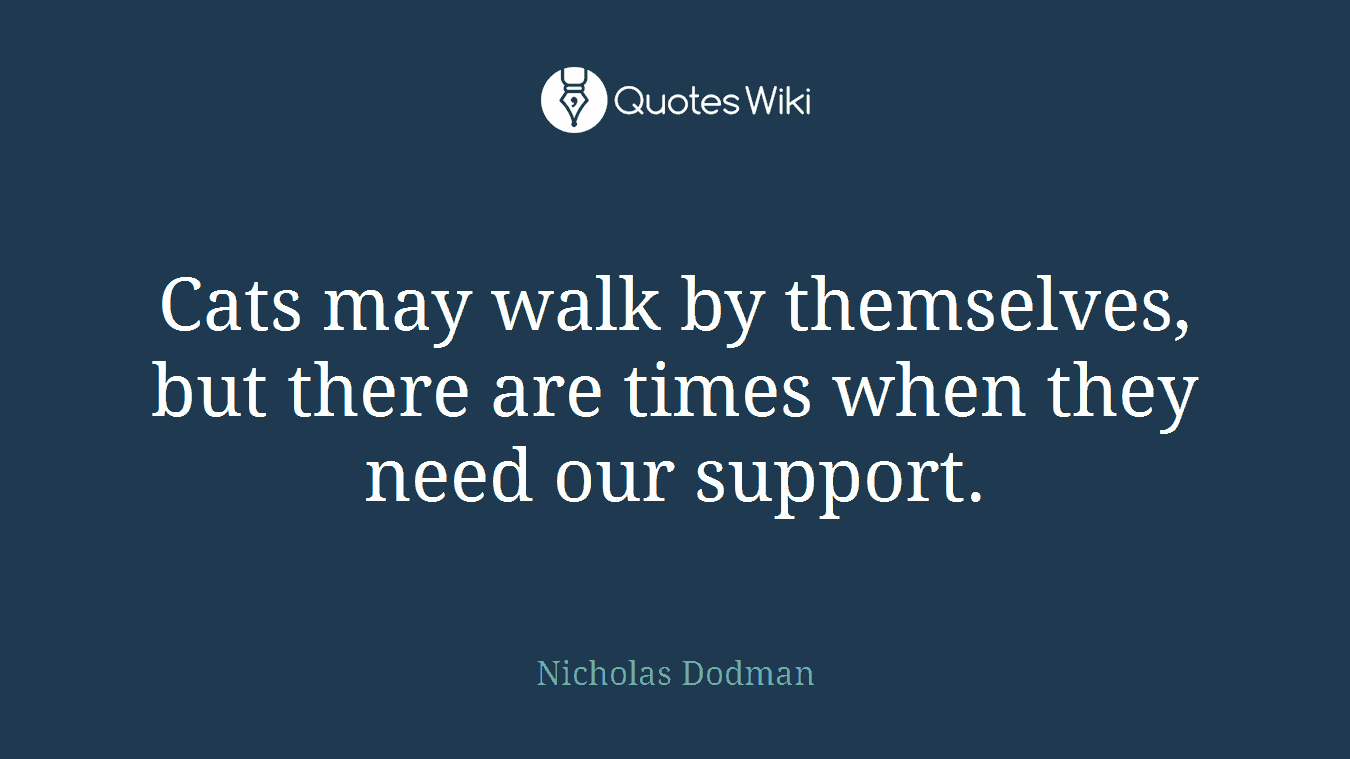 Cats may walk by themselves, but there are times when they need our support.