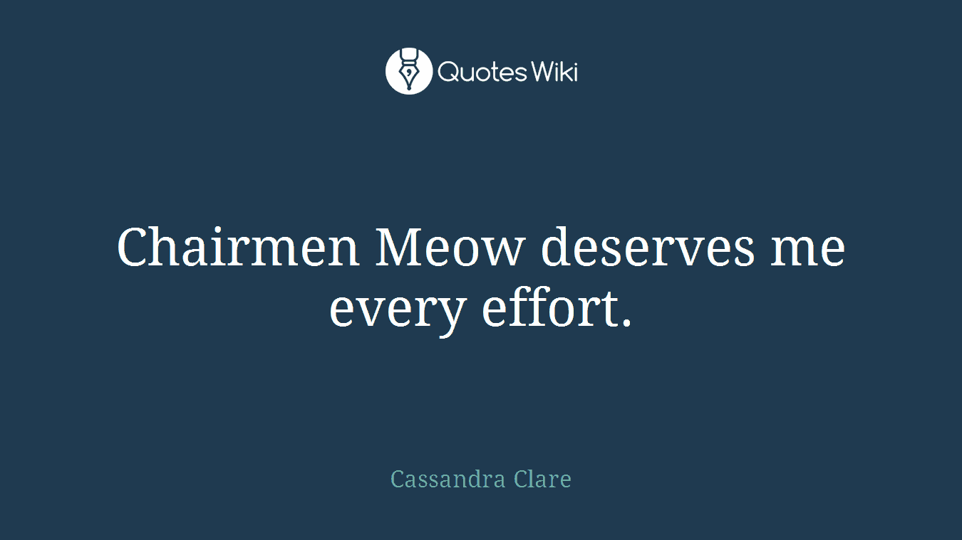 Chairmen Meow deserves me every effort.