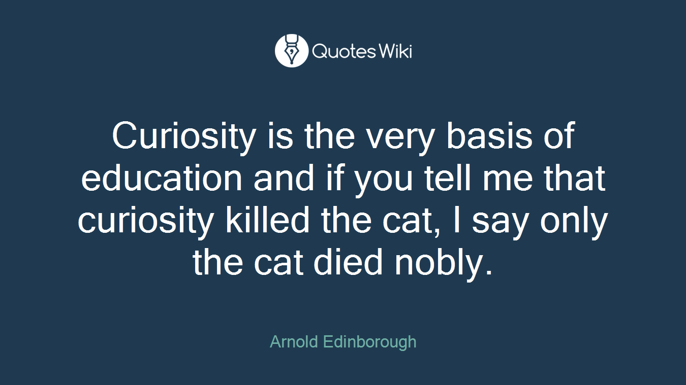 Curiosity is the very basis of education and if you tell me that curiosity killed the cat, I say only the cat died nobly.