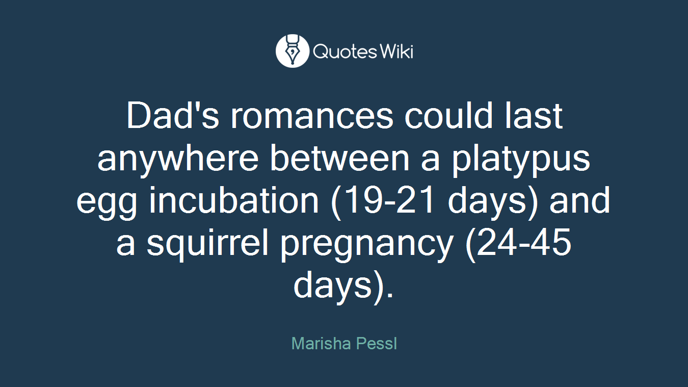 Dad's romances could last anywhere between a platypus egg incubation (19-21 days) and a squirrel pregnancy (24-45 days).