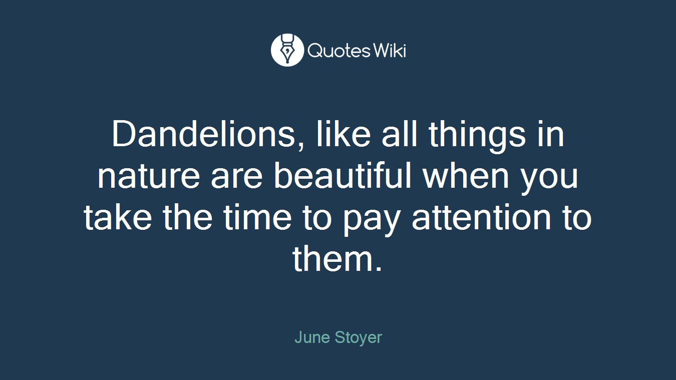 Dandelions, like all things in nature are beautiful when you take the time to pay attention to them.