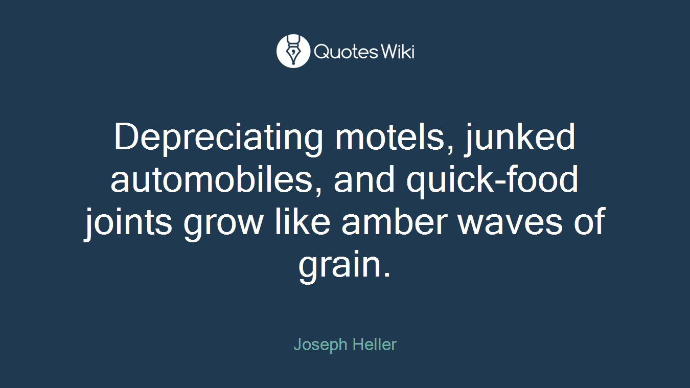 Depreciating motels, junked automobiles, and quick-food joints grow like amber waves of grain.