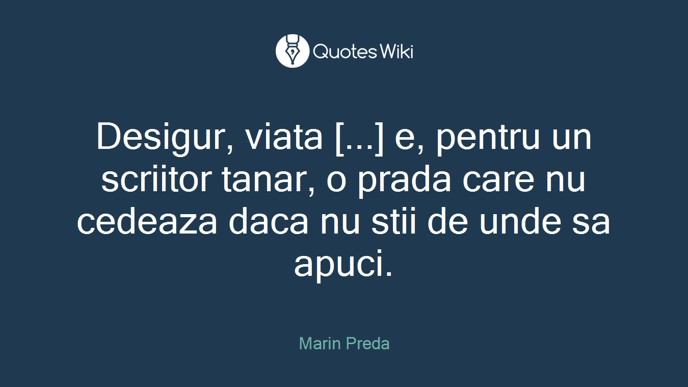 Desigur, viata [...] e, pentru un scriitor tanar, o prada care nu cedeaza daca nu stii de unde sa apuci.