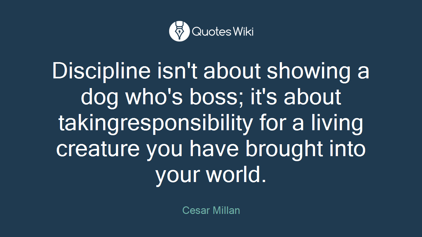 Discipline isn't about showing a dog who's boss; it's about takingresponsibility for a living creature you have brought into your world.