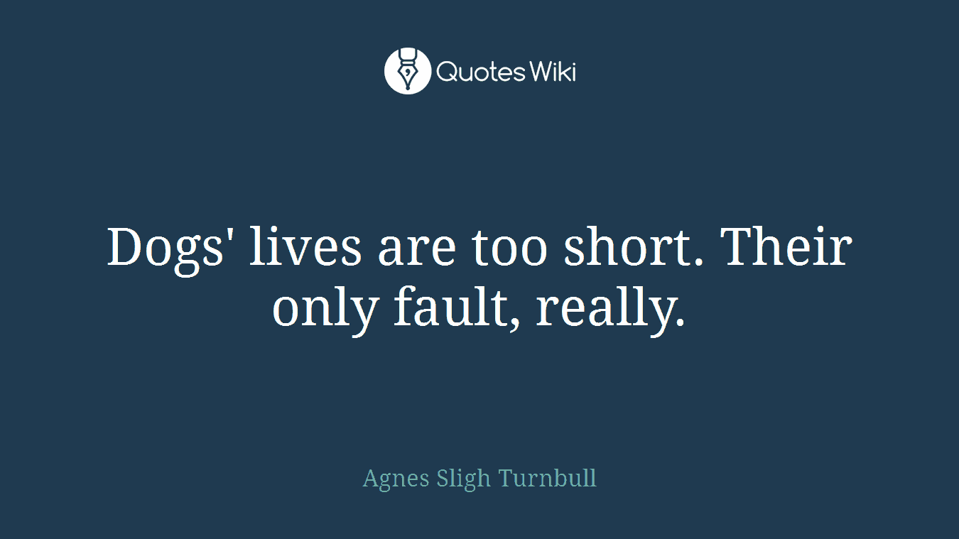 Dogs' lives are too short. Their only fault, really.