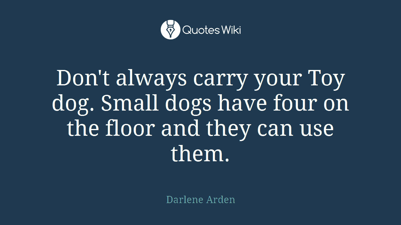 Don't always carry your Toy dog. Small dogs have four on the floor and they can use them.