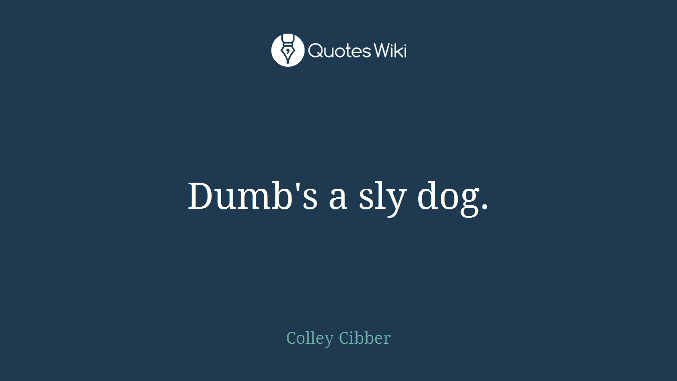 Dumb's a sly dog.