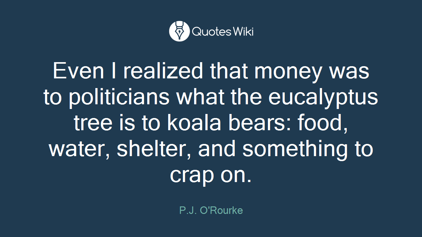 Even I realized that money was to politicians what the eucalyptus tree is to koala bears: food, water, shelter, and something to crap on.