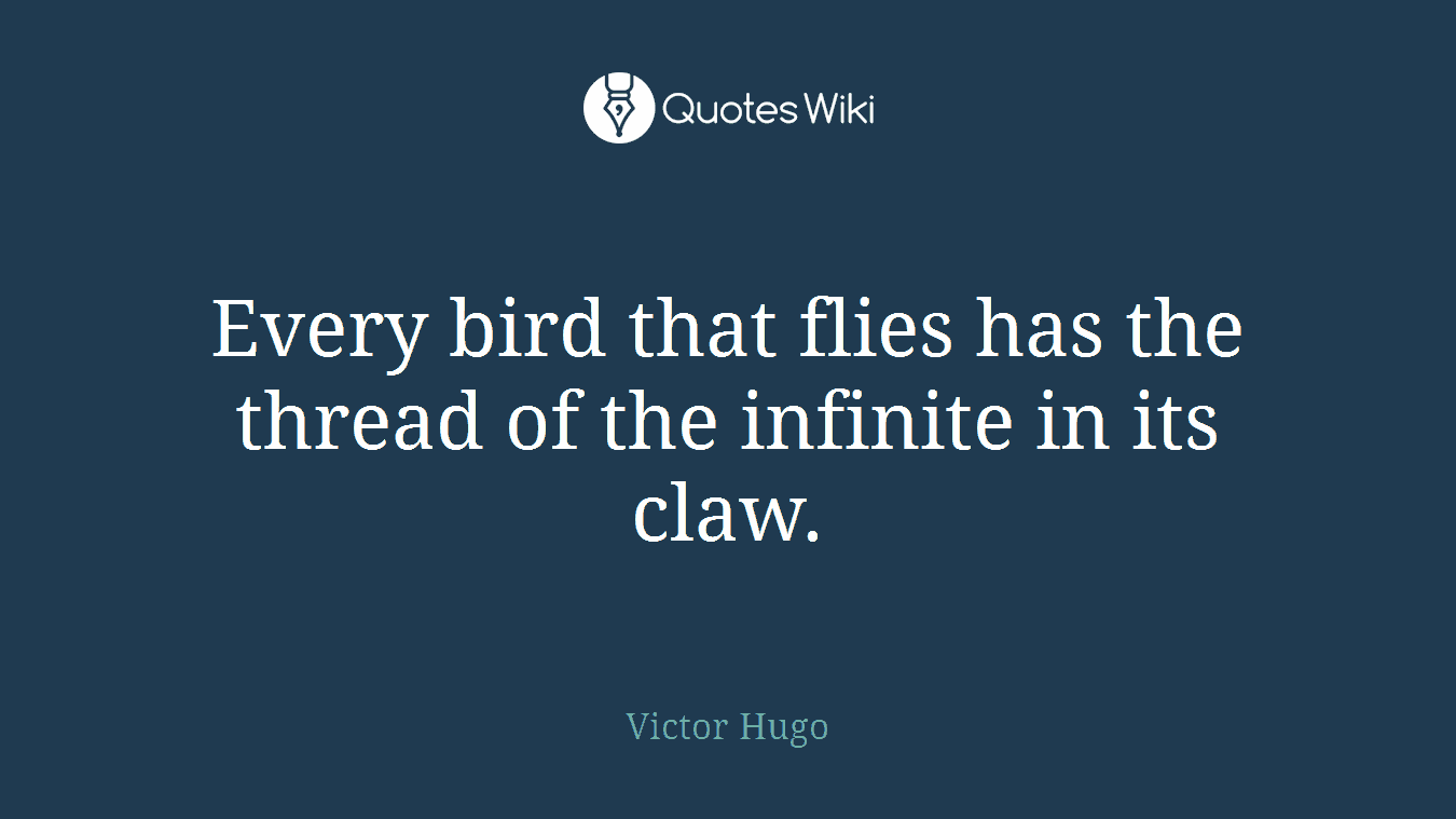 Every bird that flies has the thread of the infinite in its claw.