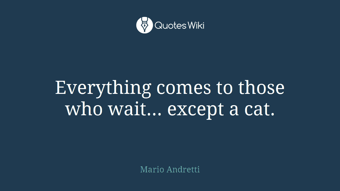Everything comes to those who wait... except a cat.