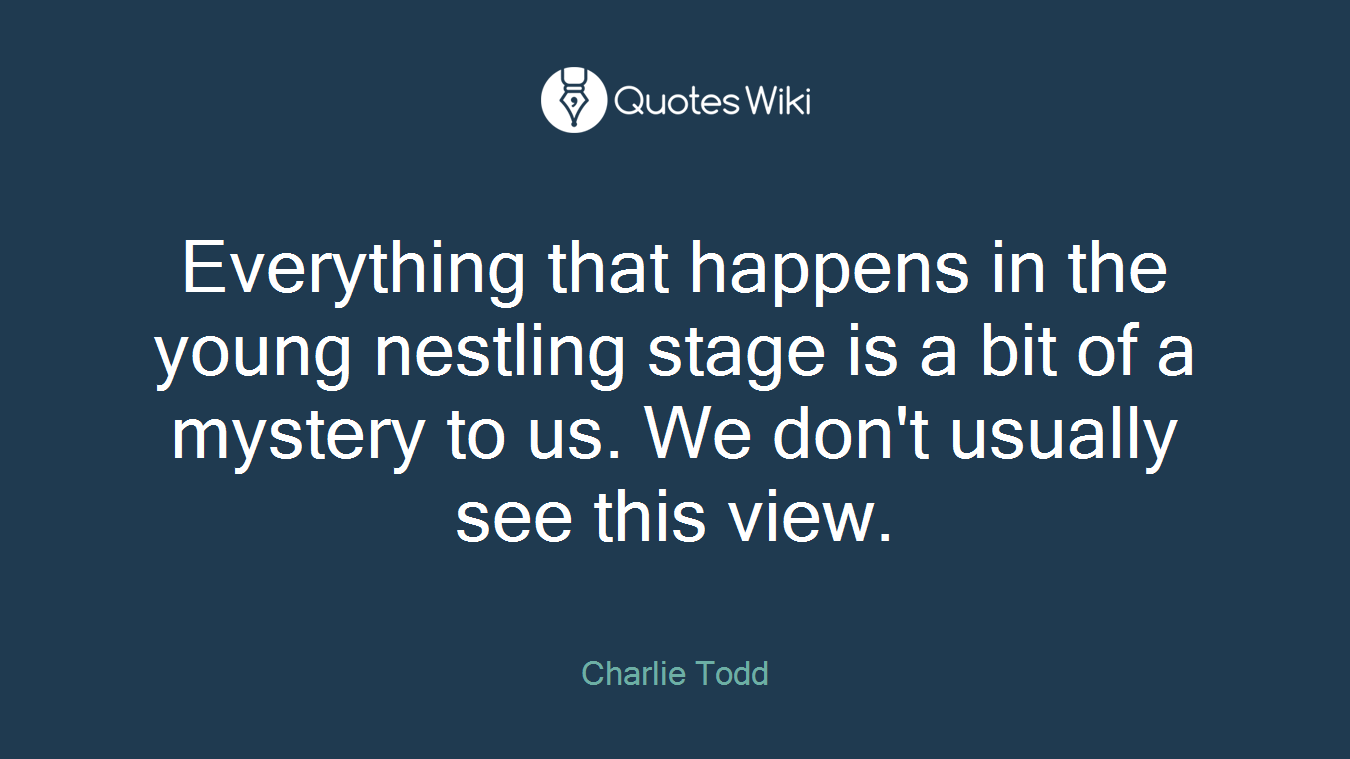 Everything that happens in the young nestling stage is a bit of a mystery to us. We don't usually see this view.