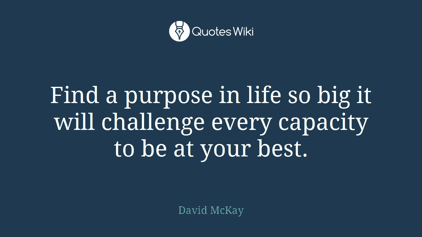 Find a purpose in life so big it will challenge every capacity to be at your best.