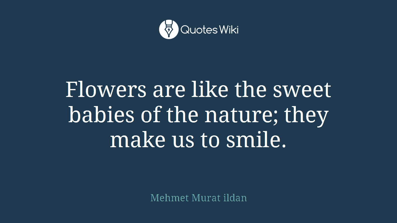 Flowers are like the sweet babies of the nature; they make us to smile.