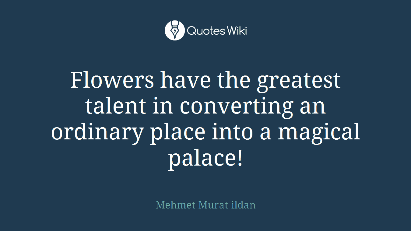Flowers have the greatest talent in converting an ordinary place into a magical palace!