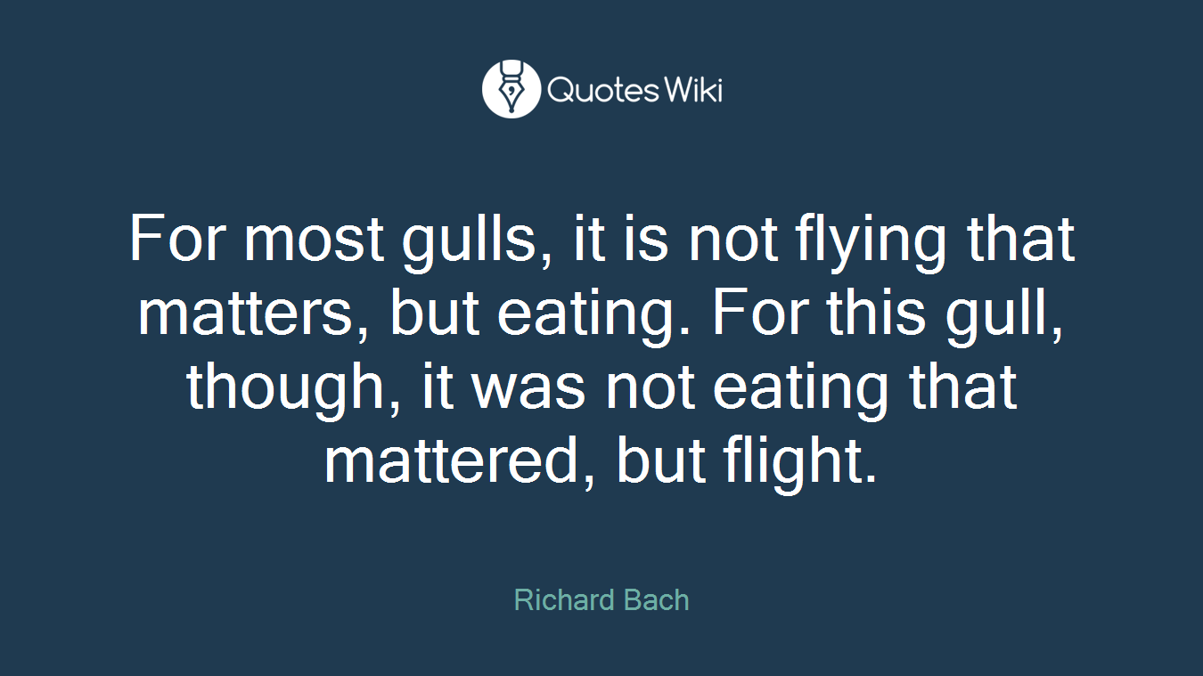 For most gulls, it is not flying that matters, but eating. For this gull, though, it was not eating that mattered, but flight.