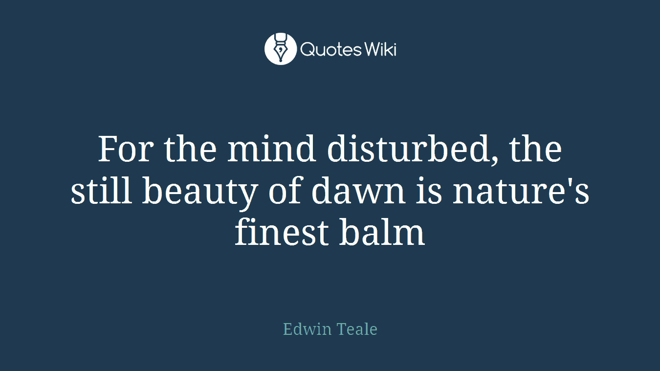 For the mind disturbed, the still beauty of dawn is nature's finest balm