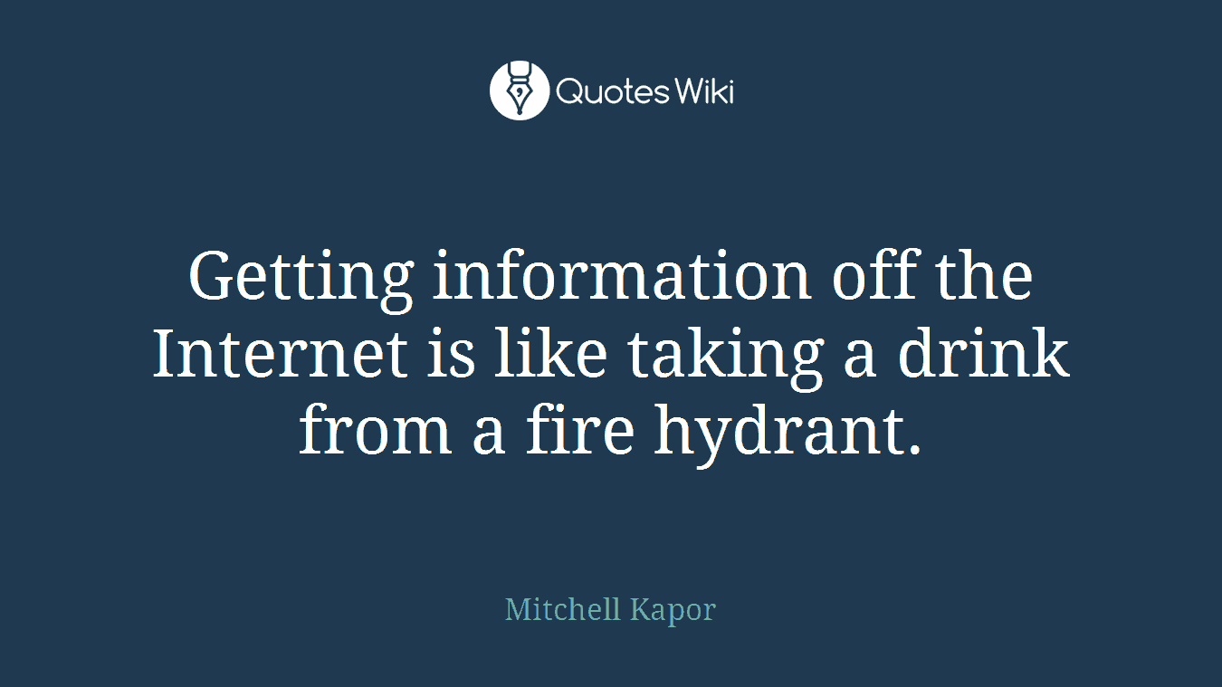 Getting information off the Internet is like taking a drink from a fire hydrant.
