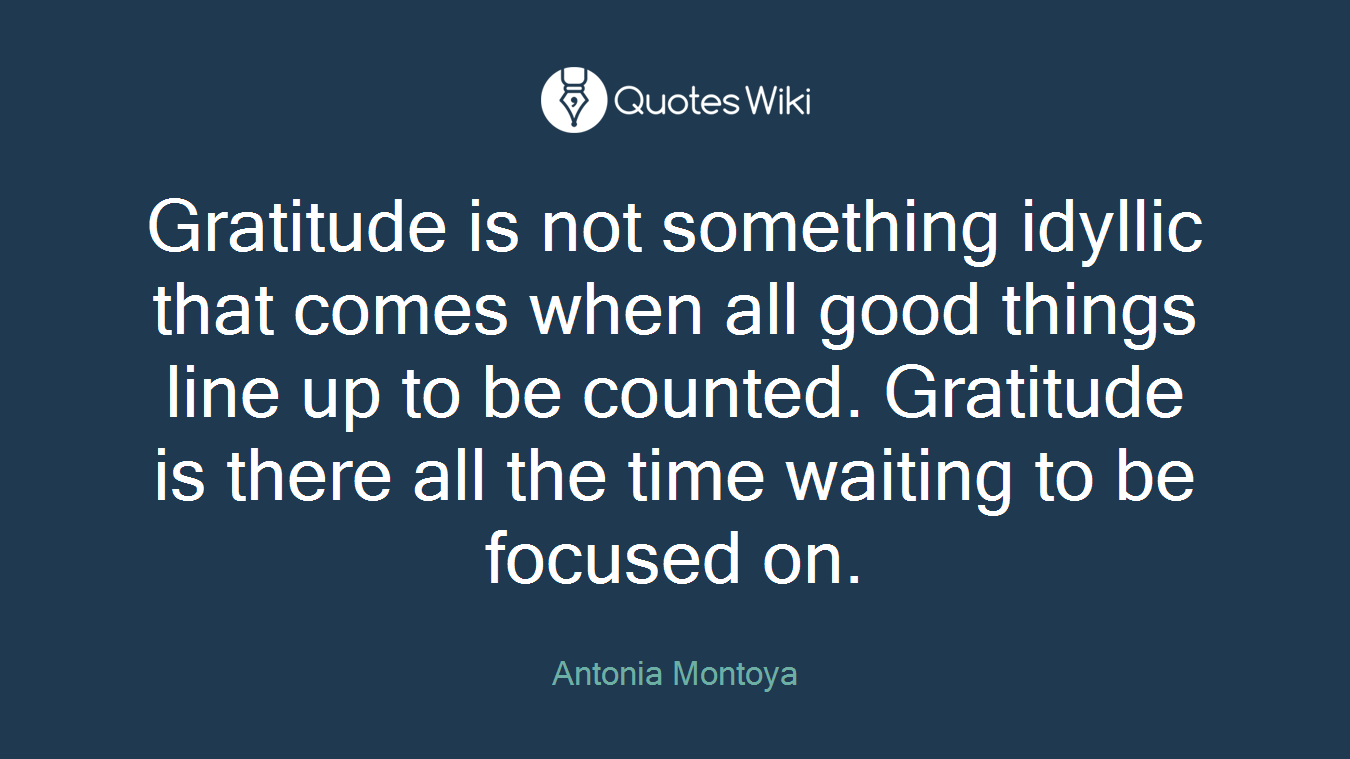 Gratitude is not something idyllic that comes when all good things line up to be counted. Gratitude is there all the time waiting to be focused on.