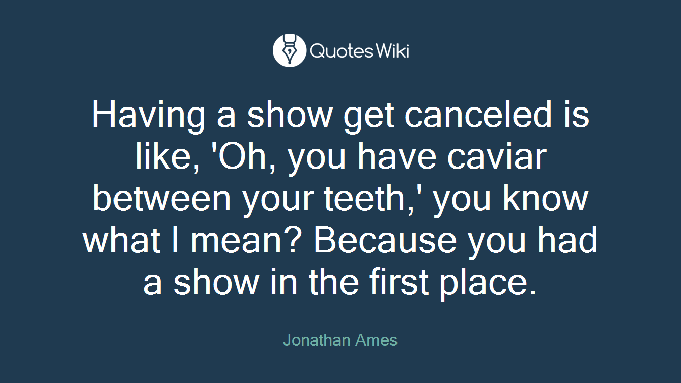 Having a show get canceled is like, 'Oh, you have caviar between your teeth,' you know what I mean? Because you had a show in the first place.