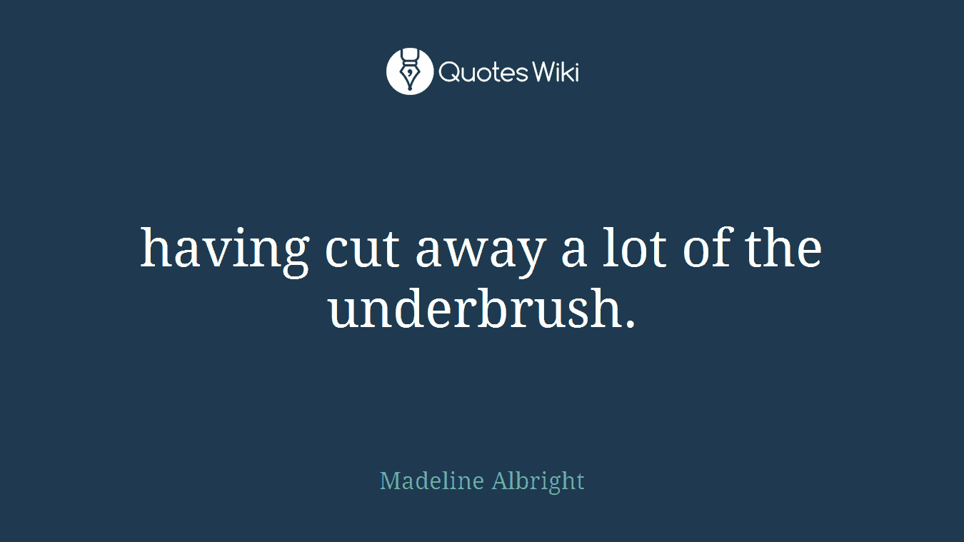 having cut away a lot of the underbrush.