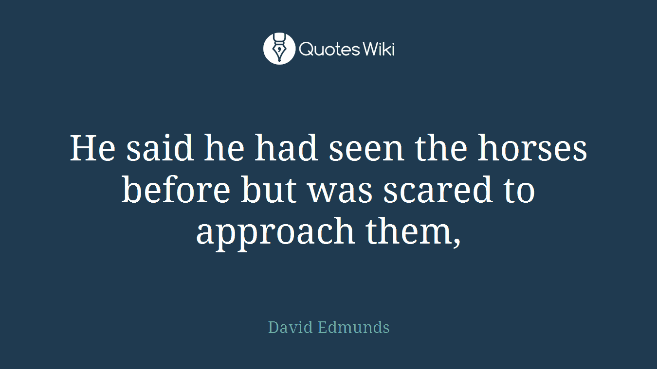 He said he had seen the horses before but was scared to approach them,