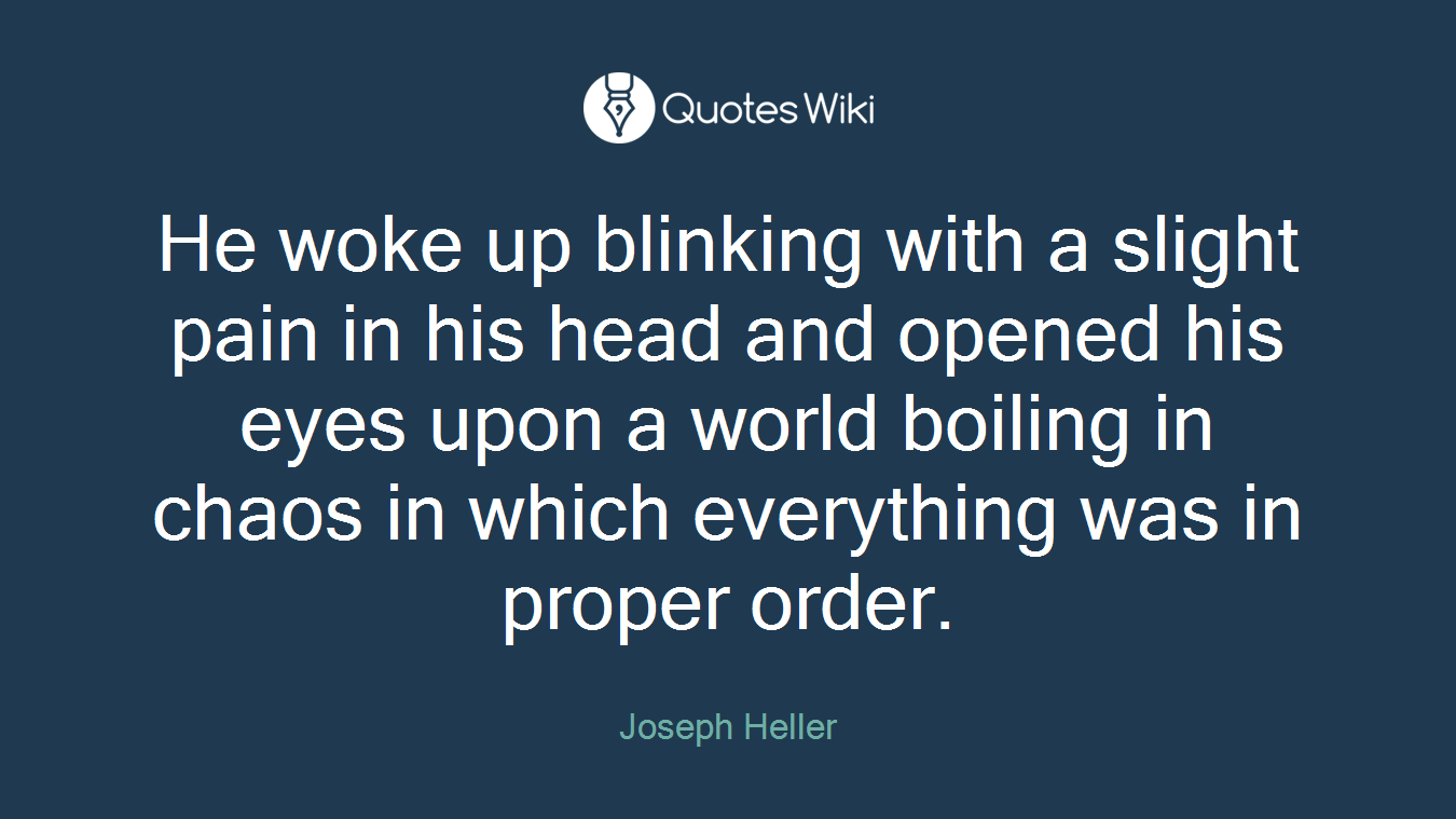 He woke up blinking with a slight pain in his head and opened his eyes upon a world boiling in chaos in which everything was in proper order.