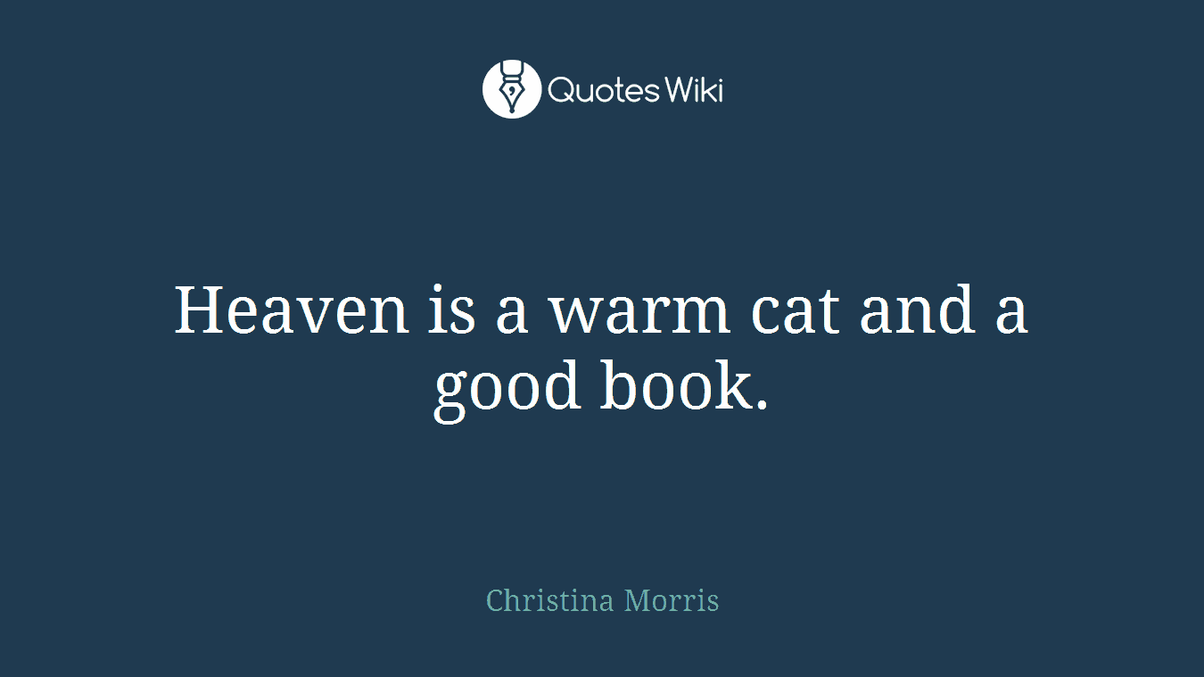Heaven is a warm cat and a good book.