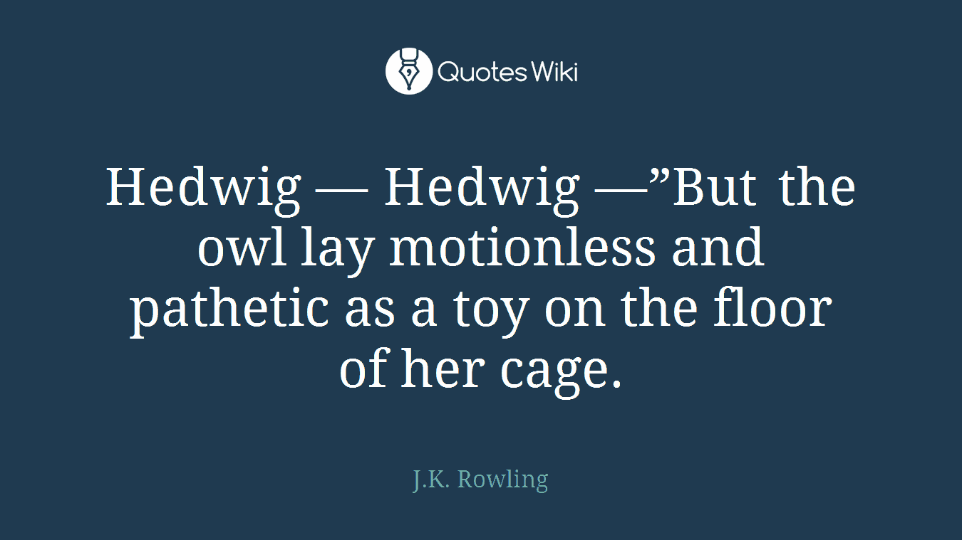 Hedwig — Hedwig —”But the owl lay motionless and pathetic as a toy on the floor of her cage.