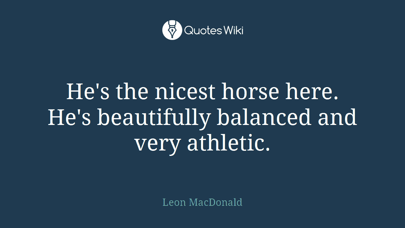 He's the nicest horse here. He's beautifully balanced and very athletic.