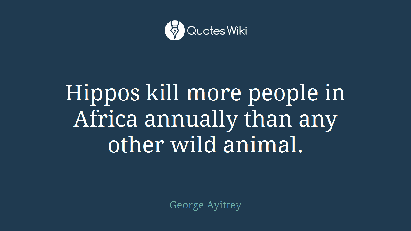Hippos kill more people in Africa annually than any other wild animal.