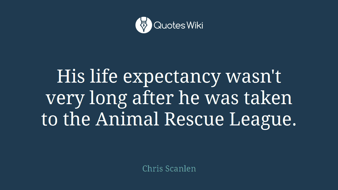 His life expectancy wasn't very long after he was taken to the Animal Rescue League.
