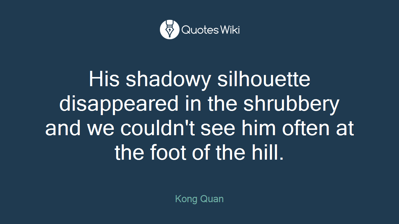 His shadowy silhouette disappeared in the shrubbery and we couldn't see him often at the foot of the hill.