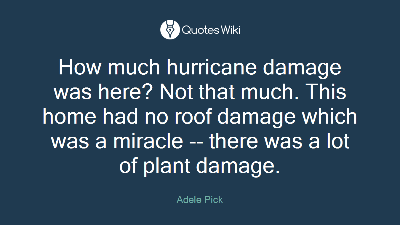 How much hurricane damage was here? Not that much. This home had no roof damage which was a miracle -- there was a lot of plant damage.
