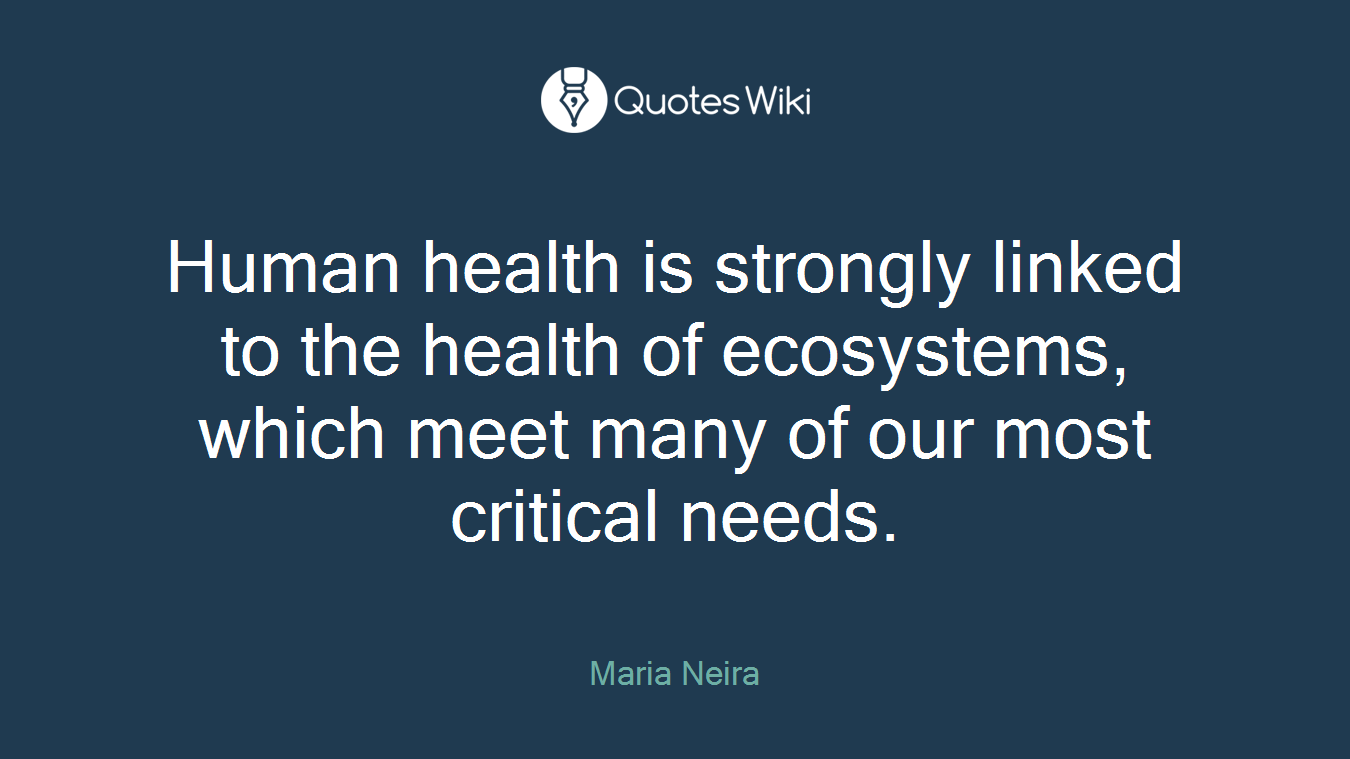 Human health is strongly linked to the health of ecosystems, which meet many of our most critical needs.