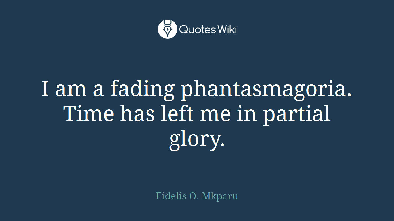 I am a fading phantasmagoria. Time has left me in partial glory.