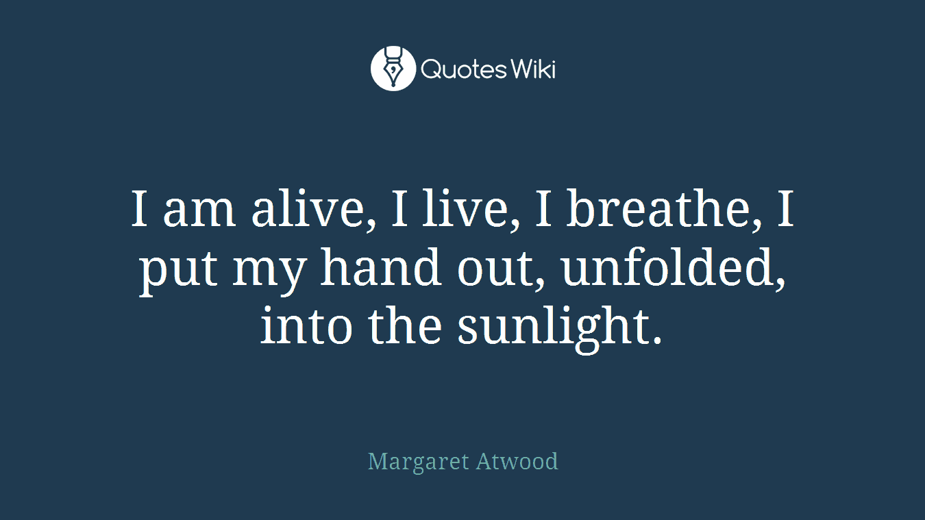 I am alive, I live, I breathe, I put my hand out, unfolded, into the sunlight.