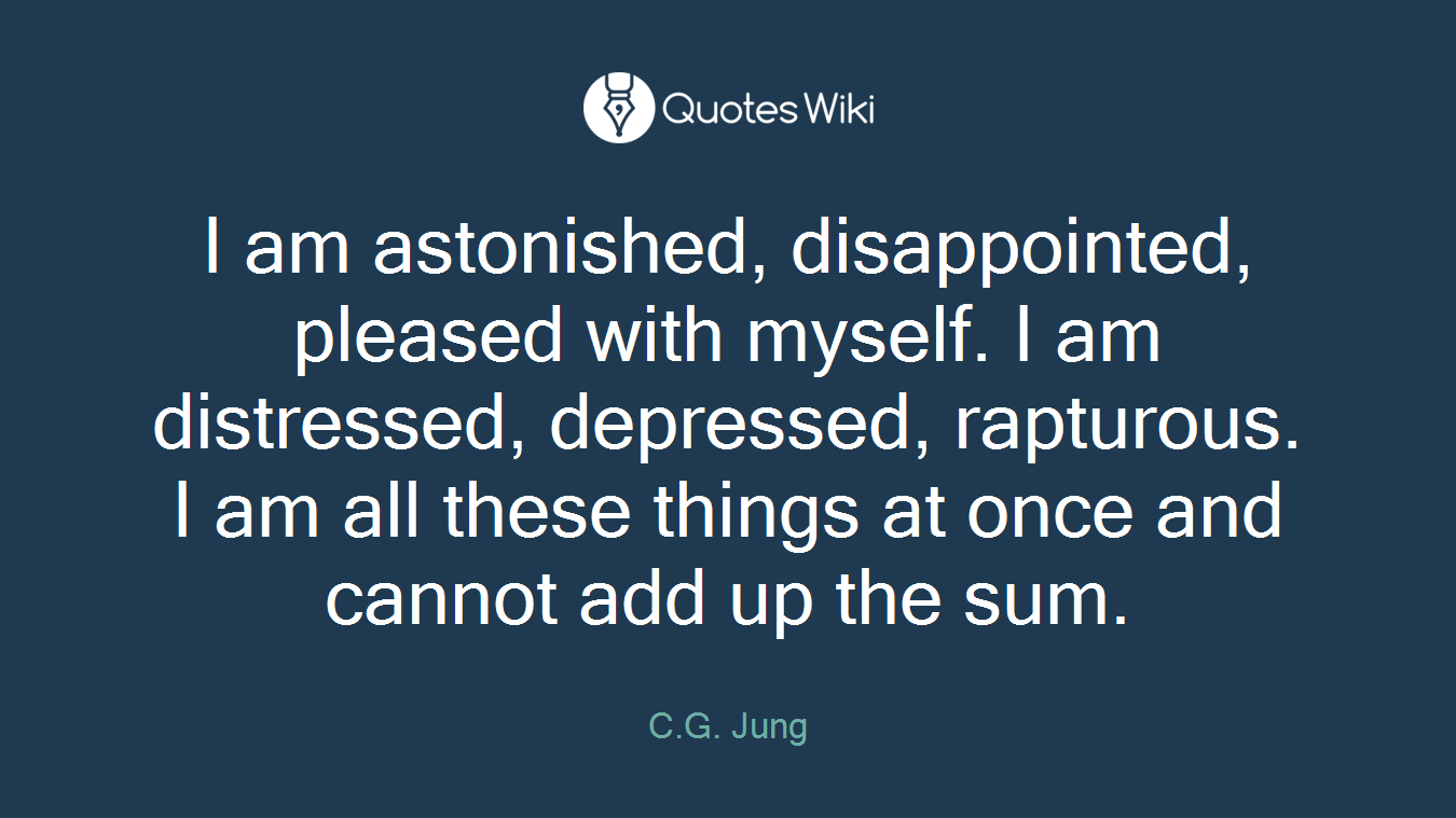 I am astonished, disappointed, pleased with myself. I am distressed, depressed, rapturous. I am all these things at once and cannot add up the sum.