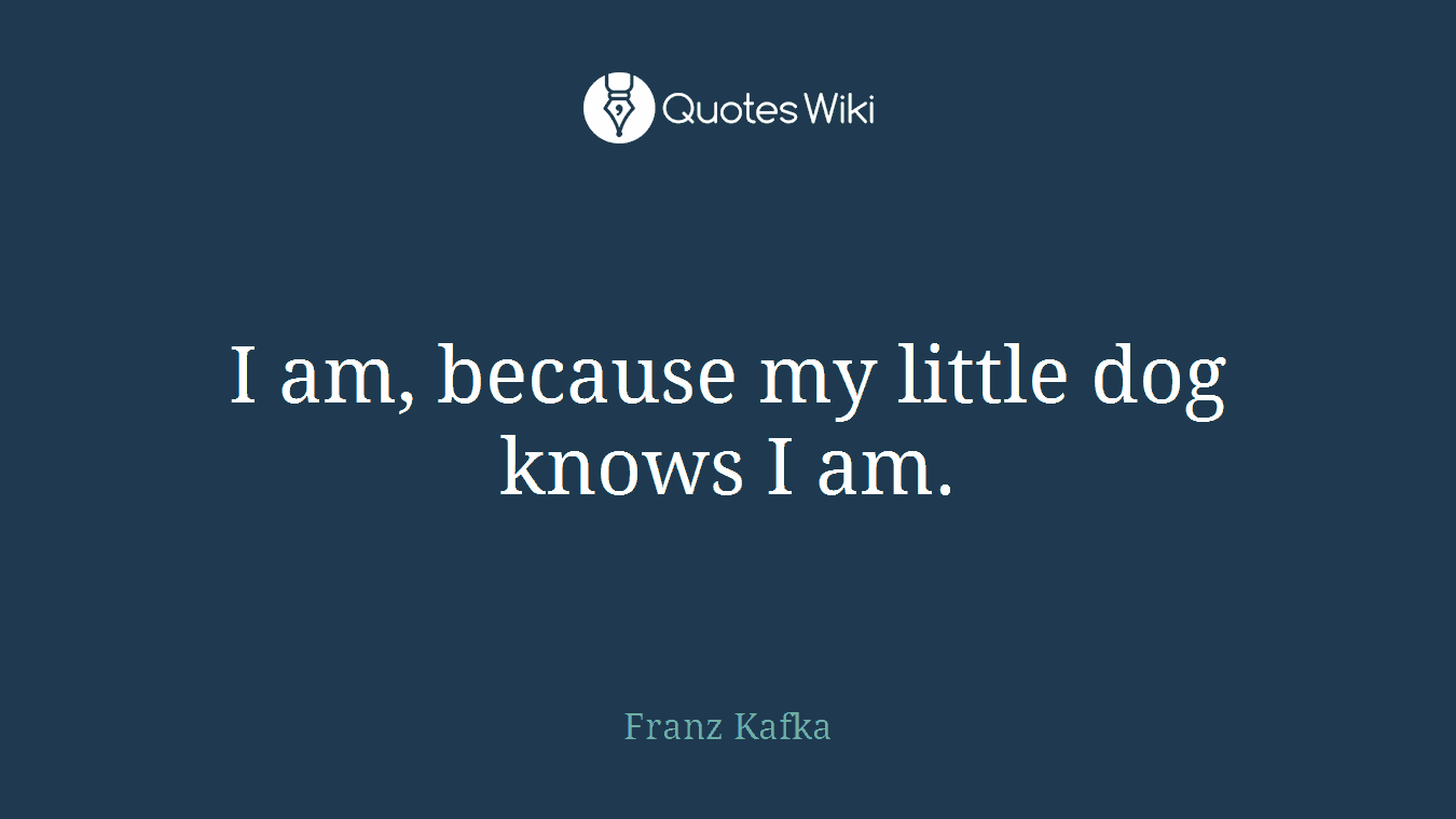 I am, because my little dog knows I am.