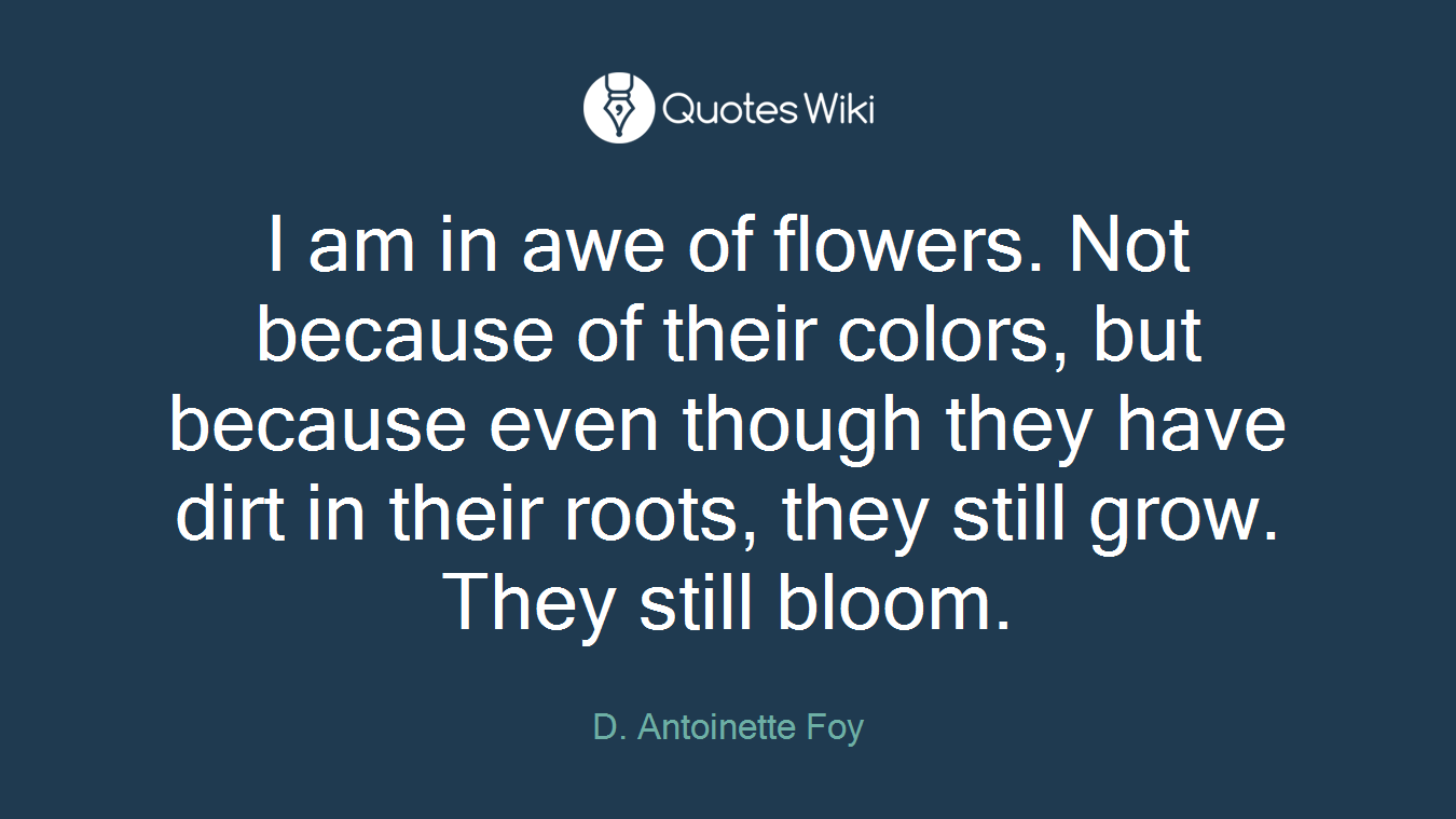 I am in awe of flowers. Not because of their colors, but because even though they have dirt in their roots, they still grow. They still bloom.