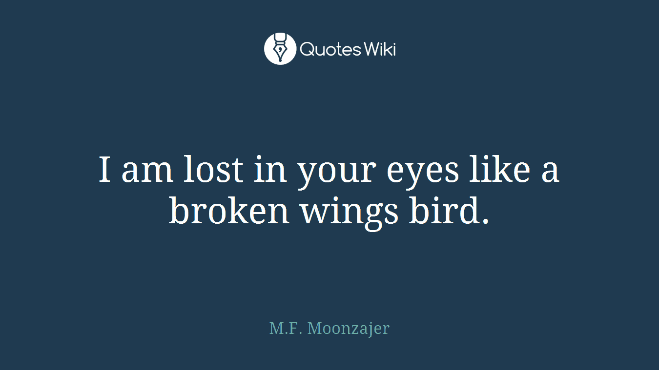 I am lost in your eyes like a broken wings bird.