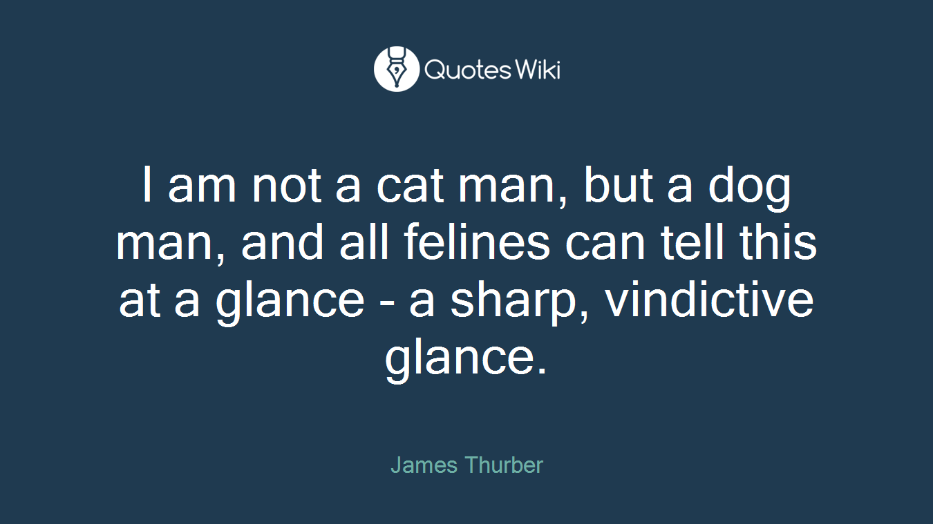 I am not a cat man, but a dog man, and all felines can tell this at a glance - a sharp, vindictive glance.