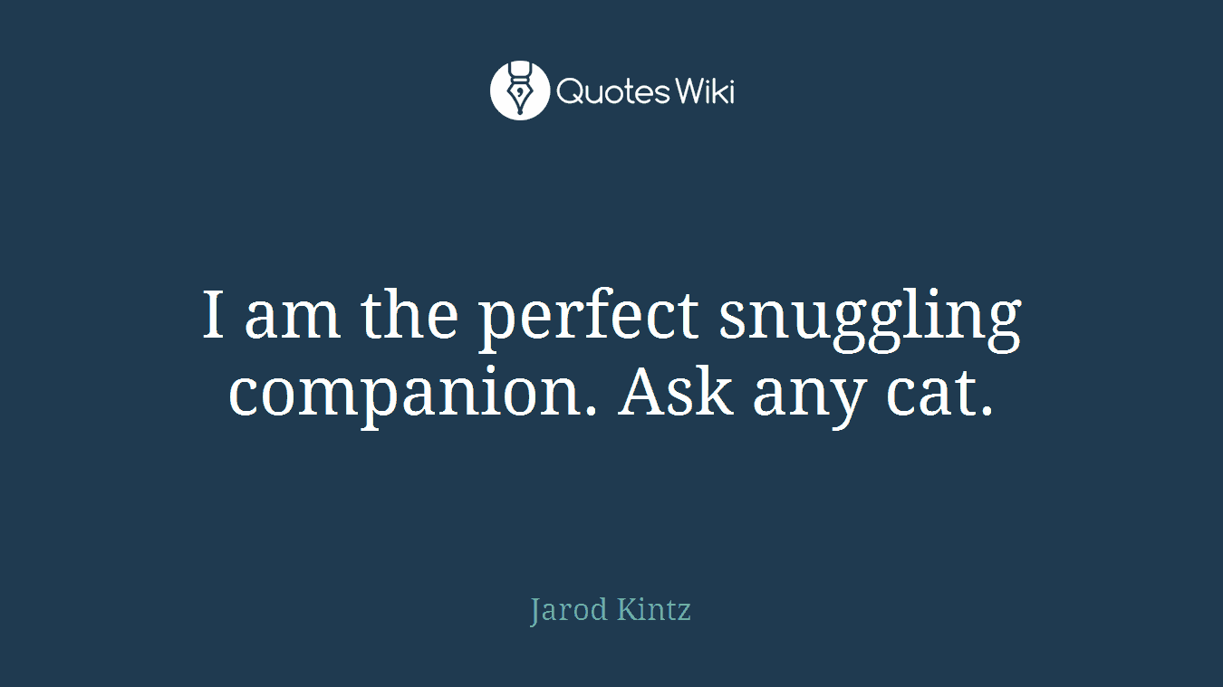 I am the perfect snuggling companion. Ask any cat.