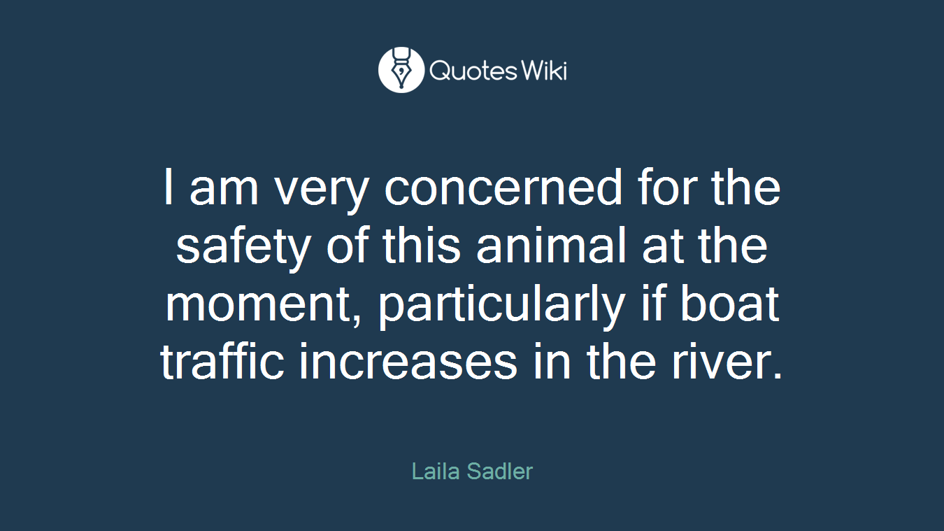I am very concerned for the safety of this animal at the moment, particularly if boat traffic increases in the river.