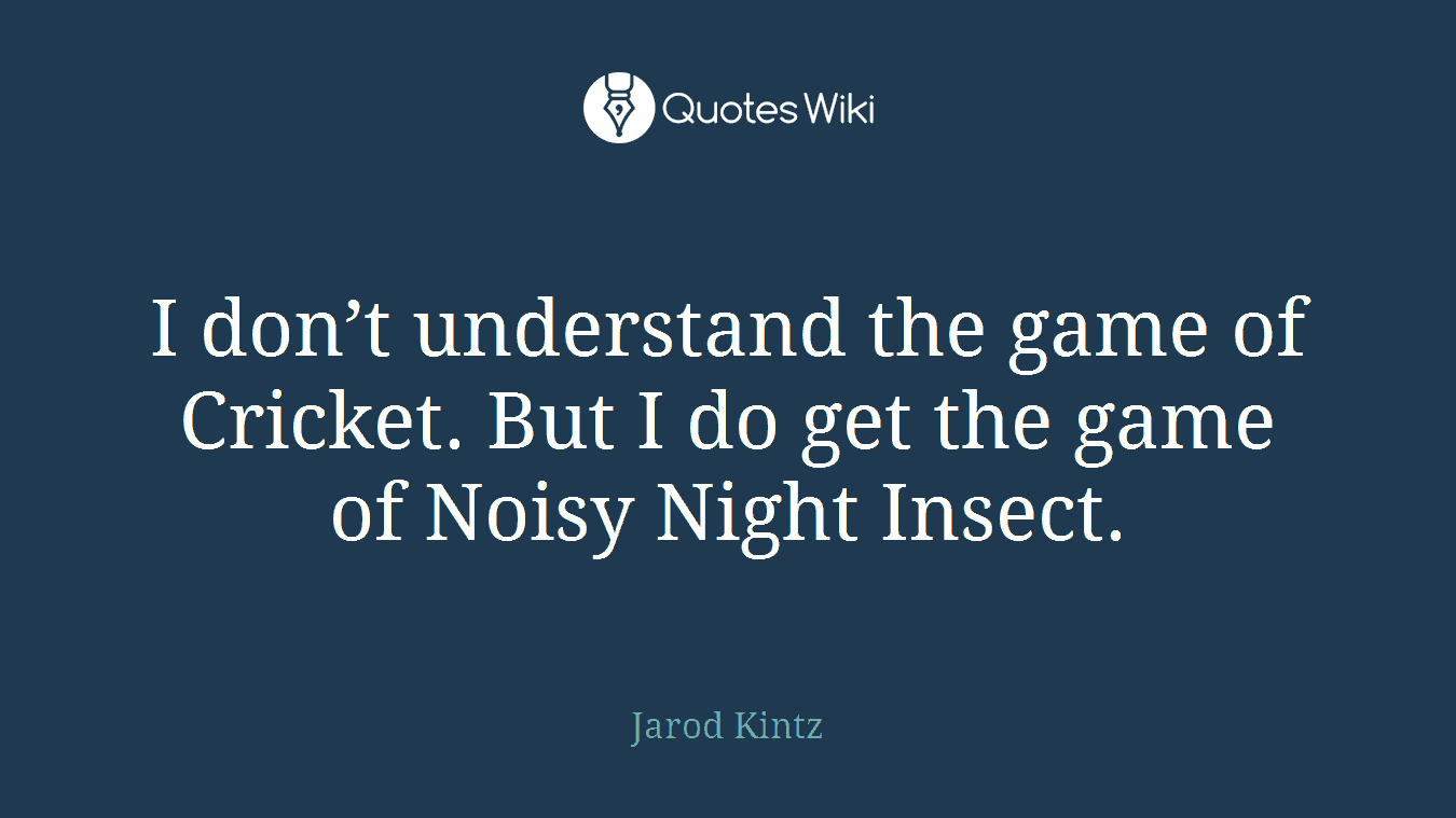 I don’t understand the game of Cricket. But I do get the game of Noisy Night Insect.